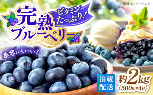 【6月中旬より順次発送】完熟 ブルーベリー 約2kg＜広津農園＞ [CBN009] 冷蔵 栽培期間中 農薬不使用 ブルーベリー 果物 果実 冷蔵 生ブルーベリー ブルーベリー 西海市産 ぶるーべりー 243627 - 長崎県西海市