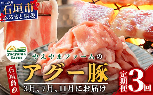 [3回定期便]石垣島産 やえやまファームのアグー豚の 3回定期便(3月、7月、11月お届け)|南ぬ豚 アグー豚 焼肉 食べ比べ 豚肉 石垣 石垣島 沖縄 八重山 やえやまファーム E-30-1