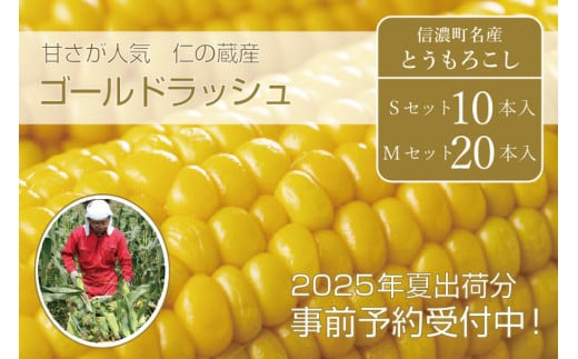 仁の蔵『ゴールドラッシュ』10本セット/ 20本セット 2025年夏の予約受付開始! 長野県信濃町産とうもろこし /スイートコーンの人気品種の予約受付中| 令和7年7月下旬〜8月下旬随時出荷[長野県信濃町ふるさと納税]