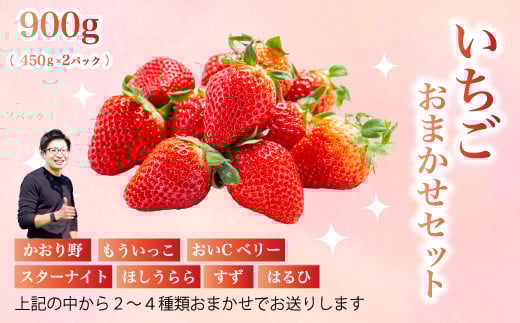 フルーツ農園のおまかせ【いちご】 450g×2パック イチゴ 苺 フルーツ 果物 広島県 三原市 059023 1967662 - 広島県三原市