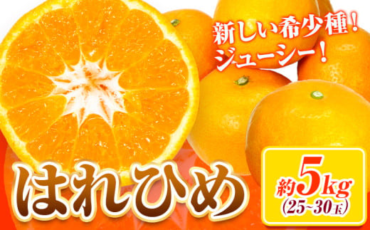 【先行予約】みかん はれひめ 約 5kg 25玉 ～ 30玉 紀農人株式会社《2025年12月中旬-2025年2月上旬頃出荷》 和歌山県 紀の川市 果物 フルーツ 柑橘 蜜柑 柑橘類 旬