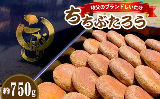 No.221 秩父のブランドしいたけ ちちぶたろう　菌床しいたけ約750g ／ 椎茸 肉厚 埼玉県 特産