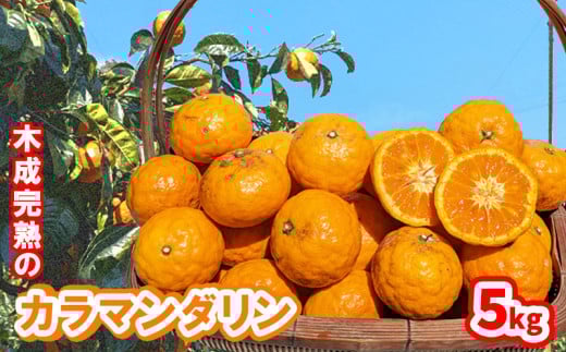 【5月から発送】 春 みかん カラマンダリン 家庭用 5kg｜みかん 蜜柑 旬 わけあり 訳あり 甘い 柑橘 果物 フルーツ 糖度 愛媛 松山 1308886 - 愛媛県松山市