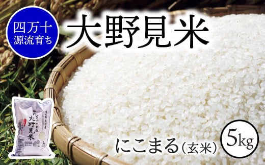 【 四万十源流 育ち 】 特別栽培 大野見米 にこまる 5kg ( 玄米 ) ご飯 米 お米 にこまる 四万十