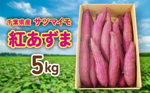 サツマイモ(紅あずま)5kg【1030294】 462016 - 千葉県芝山町