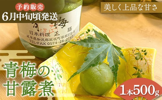 【予約販売】青梅の甘露煮 （6 月中旬ごろ出荷） 加工品 食品 岐阜県 坂祝町 さかほぎ F6M-274