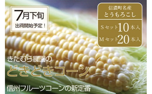 『きたむら農園のどきどきコーン』10本セット/ 20本セット 2025年夏の予約受付開始! 信濃町名産 朝採れとうもろこし/スイートコーンの定番品種、現在出荷中! [長野県信濃町]