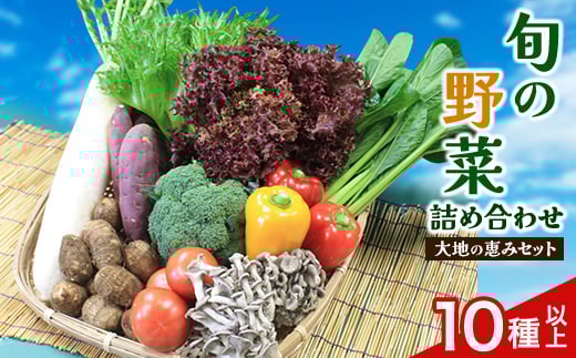 旬野菜の詰め合わせ　「大地の恵みセット」　10種以上【1071786】 450671 - 千葉県芝山町