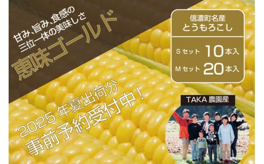 『TAKA農園の恵味(めぐみ)ゴールド』2Lサイズ(1本450g相当)10本セット/ 20本セット2025年夏の予約受付開始! |信濃町名産とうもろこし/スイートコーンの人気品種を予約受付中! 令和7年7月下旬〜8月下旬の限定出荷予定[長野県信濃町]