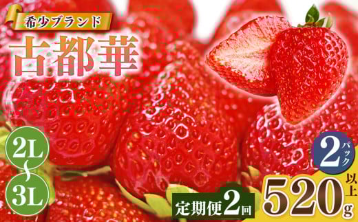 【定期便2回】いちご 平群の古都華 2L ～ 3L サイズ （2パック×2回）計4パック 扇田農園 | 果物 くだもの フルーツ 苺 イチゴ いちご ストロベリー 古都華 ことか 旬の品種  奈良県 平群町 761100 - 奈良県平群町
