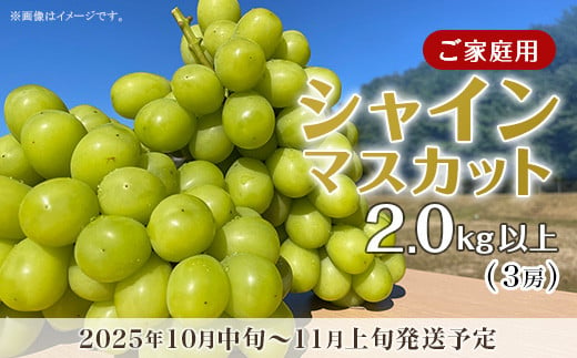 【訳あり】シャインマスカット3房（2.0kg以上）【2025年10月中旬～11月上旬発送予定】（星のさと・ぶどう工房） 1991817 - 岡山県井原市