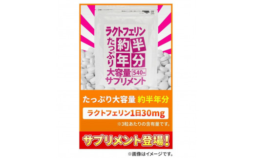 【2個セット】約半年分たっぷり大容量ラクトフェリンサプリメント540粒 1992212 - 富山県富山市