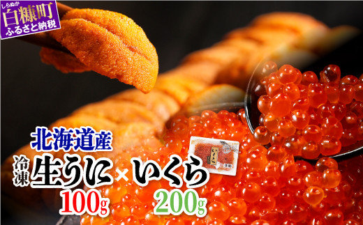 「生うに 100g」× 「いくら醤油漬(鮭卵) 200g(200g×1) 」のセット いくら北海道 醤油鮭いくら うに 人気 ふるさとチョイス 大好評品 北海道 白糠町