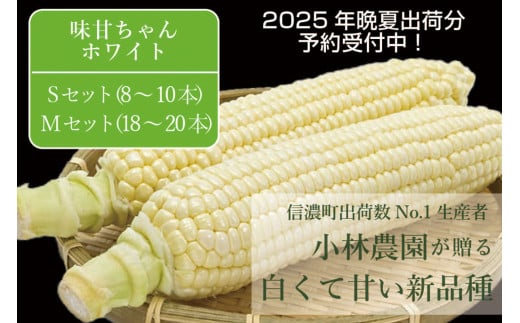 2025年夏の予約受付開始！小林農園の白くて甘いとうもろこし『味甘ちゃんホワイト（みかんちゃんほわいと）』4kg（8～10本）/ 9kg（18～20本）9月上旬～9月下旬出荷【長野県信濃町】