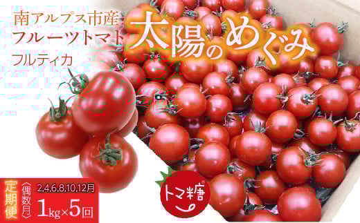 6-183 発送月固定定期便・フルーツトマト「トマ糖・太陽のめぐみ」フルティカ1kgを全５回（２月、４月、８月、１０月、１２月）　ALPBI005