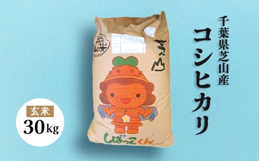 <令和6年産>芝山町産コシヒカリ30kg(玄米)【1059571】 450511 - 千葉県芝山町