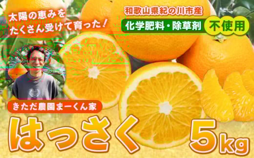 紀の川市八朔 まーくん家の八朔 5kg きただ農園まーくん家《2025年2月上旬-3月末頃出荷》和歌山県 紀の川市 柑橘 はっさく 化学肥料・除草剤不使用