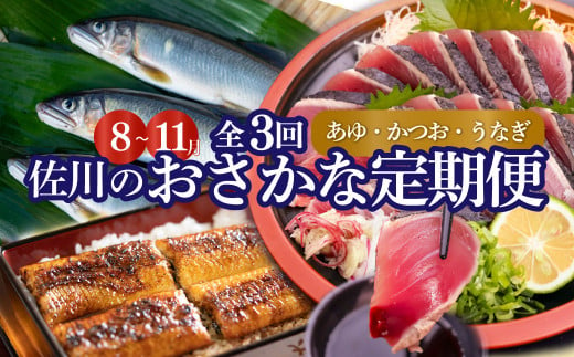 ＜年3回【さかわのお魚定期便（配送月：8月～11月）】うなぎ　かつおのタタキ　鮎＞鰹のタタキ 高知県 大正軒 鮎屋仁淀川 西村商店 かつおのたたき 鰻蒲焼き あゆ