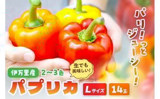 伊万里産肉厚ジューシーパプリカLサイズ14玉入 B598