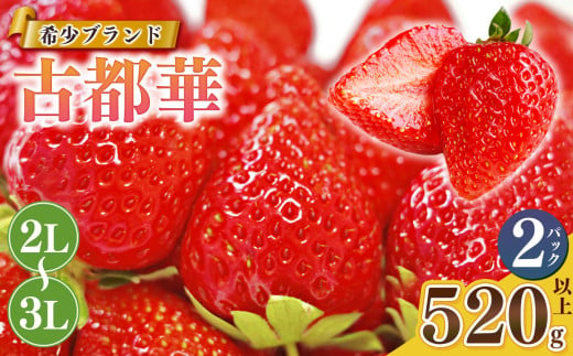 いちご 平群の古都華 ２L〜３Lサイズ ２パック  扇田農園 | 果物 くだもの フルーツ 苺 イチゴ いちご ストロベリー 古都華 ことか 旬の品種  奈良県 平群町 1992960 - 奈良県平群町