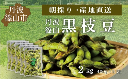 【2025年10月発送】令和7年度　丹波篠山黒枝豆 さやのみ 400gx5袋 2kg（朝採り・産地直送）　プレミアム枝豆 期間限定 黒枝豆 えだまめ エダマメ お取り寄せグルメ 高級 特産品 名産品 おつまみ おうち居酒屋