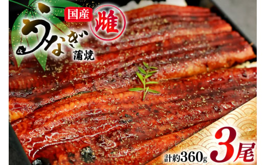 うなぎ 蒲焼き 国産 雌うなぎ 約120g 3尾 計約360g [マルニうなぎ加工 静岡県 吉田町 22424459] 鰻 ウナギ 蒲焼 かば焼き 鰻蒲焼き うなぎ蒲焼 ウナギ蒲焼き 国産うなぎ蒲焼き 冷凍 静岡産 静岡 国産うなぎ 国産鰻 国産ウナギ unagi 