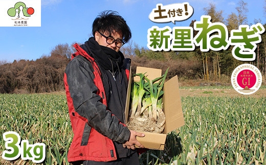 【GI産品】『新里ねぎ』 GIマーク取得のブランド伝統野菜 土付き 3kg ※2025年3月下旬頃までに順次発送予定