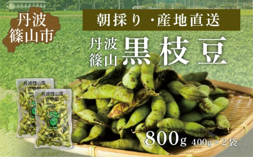 【2025年10月発送】令和7年度　丹波篠山黒枝豆 さやのみ 400gx2袋 800g（朝採り・産地直送）　プレミアム枝豆 期間限定 黒枝豆 えだまめ エダマメ お取り寄せグルメ 高級 特産品 名産品 おつまみ おうち居酒屋