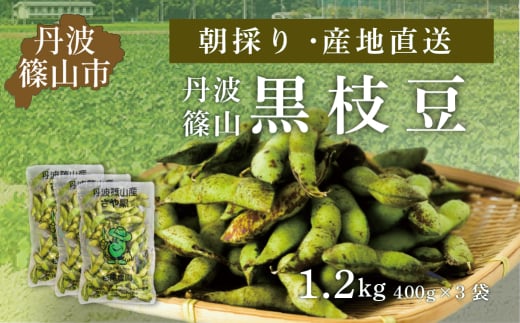 【2025年10月発送】令和7年度　丹波篠山黒枝豆 さやのみ 400gx3袋 1.2kg（朝採り・産地直送）　プレミアム枝豆 期間限定 黒枝豆 えだまめ エダマメ お取り寄せグルメ 高級 特産品 名産品 おつまみ おうち居酒屋