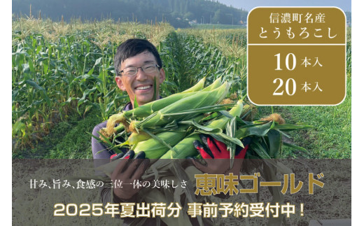 落影農場『恵味（めぐみ） 10本セット / 20本セット』2025年夏出荷分の予約受付開始！ 信濃町名産スイートコーンの人気品種を早期予約限定で受付中！ 令和7年7月下旬～8月出荷予定 朝採れのとうもろこしを生産者から直送【長野県信濃町】