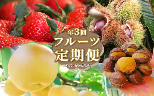 ＜フルーツ 定期便（全３回）いちご 梨 焼き栗＞ fruit 苺 おすすめ 旬 果物 くだもの 高知県 佐川町産