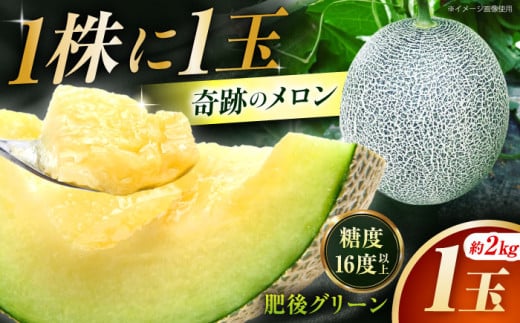 【先行予約】 肥後グリーン メロン 約2kg（1玉） 【とみおか農園】 [ZEM005]