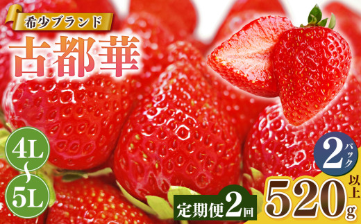 【定期便2回】いちご 平群の古都華 4L ～ 5L サイズ （2パック×2回）計4パック  | 果物 くだもの フルーツ 苺 イチゴ いちご ストロベリー 古都華 ことか 旬の品種  奈良県 平群町
