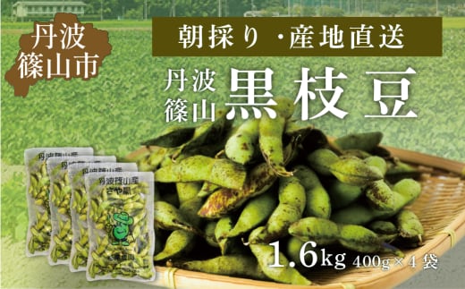 【2025年10月発送】令和7年度　丹波篠山黒枝豆 さやのみ 400gx4袋 1.6kg（朝採り・産地直送）　プレミアム枝豆 期間限定 黒枝豆 えだまめ エダマメ お取り寄せグルメ 高級 特産品 名産品 おつまみ おうち居酒屋