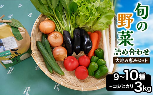 旬野菜の詰め合わせ　「大地の恵みセット」9～10種+コシヒカリ3kg＜令和6年産 ＞【1059582】 450670 - 千葉県芝山町