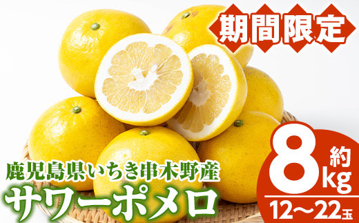 ＜期間限定＞磯部農園のサワーポメロ 8kg 箱バラ詰め（12玉～22玉）L～3L 果樹【A-1846H】