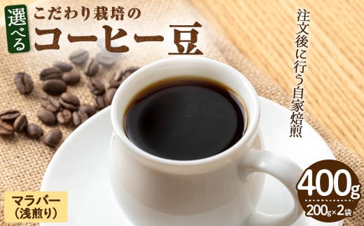 こだわり栽培のコーヒー豆(マラバー)(計400g・200g×2袋)【m70-03】【N BLOOD COFFEE ROASTERS】 1992679 - 大阪府箕面市