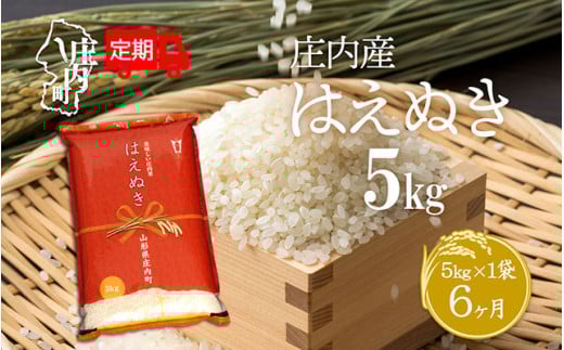 [6月中旬発送]庄内米6か月定期便!はえぬき 5kg(入金期限:2025.5.25)