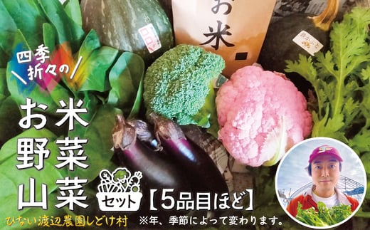 米野菜・山菜セット（5品目ほど） 115P3203 1996372 - 秋田県大館市