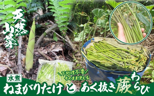 予約受付【天然山菜】「ねまがりたけ水煮とあく抜きわらび」セット 60P3215