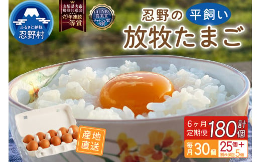 【6ヶ月定期便】忍野の平飼い放牧卵30個（25個＋割れ保障5個）