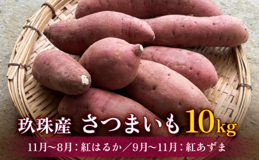 大分県産 玖珠産 さつまいも10kg 紅はるか (11月~8月) 紅あずま (9月~11月) 1992490 - 大分県玖珠町