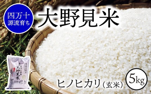 【 四万十源流 育ち 】特別栽培 大野見米 ヒノヒカリ 5kg ( 白米 ) ご飯 米 お米 ﾋﾉﾋｶﾘ 四万十