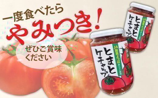 とまとケチャップ 380g×3個 [JA加美よつば（営農企画課） 宮城県 加美町 ] 調味料 | yo00008-3