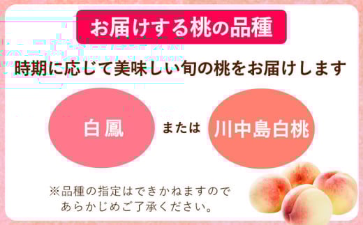 和歌山県紀の川市のふるさと納税 【2025年先行予約】桃 あら川の桃 訳あり ご家庭用 4kg 坂口農園《2025年6月下旬-8月下旬頃より出荷予定》 和歌山県 紀の川市 桃 もも モモ 白鳳  川中島白桃 あら川の桃 送料無料