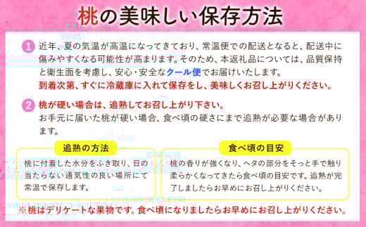 和歌山県紀の川市のふるさと納税 【2025年先行予約】桃 あら川の桃 訳あり ご家庭用 4kg 坂口農園《2025年6月下旬-8月下旬頃より出荷予定》 和歌山県 紀の川市 桃 もも モモ 白鳳  川中島白桃 あら川の桃 送料無料