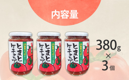 とまとケチャップ 380g×3個 [JA加美よつば（営農企画課） 宮城県 加美町 ] 調味料 | yo00008-3