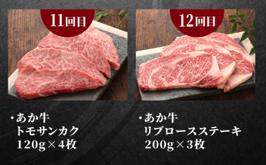 熊本県産 あか牛 ステーキ 12種 極上 食べ比べ 定期便 牛肉 サーロイン ランプ リブロース シャトーブリアン