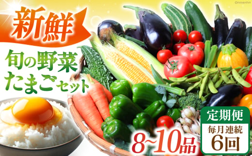 【全6回定期便】 新鮮 旬の野菜・たまごセット（8品〜10品） 長崎県/長崎県農産品流通合同会社 [42AMAE019]