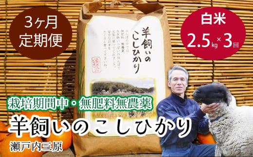 【3か月定期便】《栽培期間中・無肥料無農薬》瀬戸内三原 羊飼いのこしひかり 白米2.5kg 米 お米 002031 1992724 - 広島県三原市